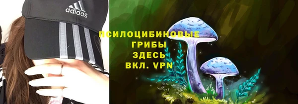 2c-b Бронницы